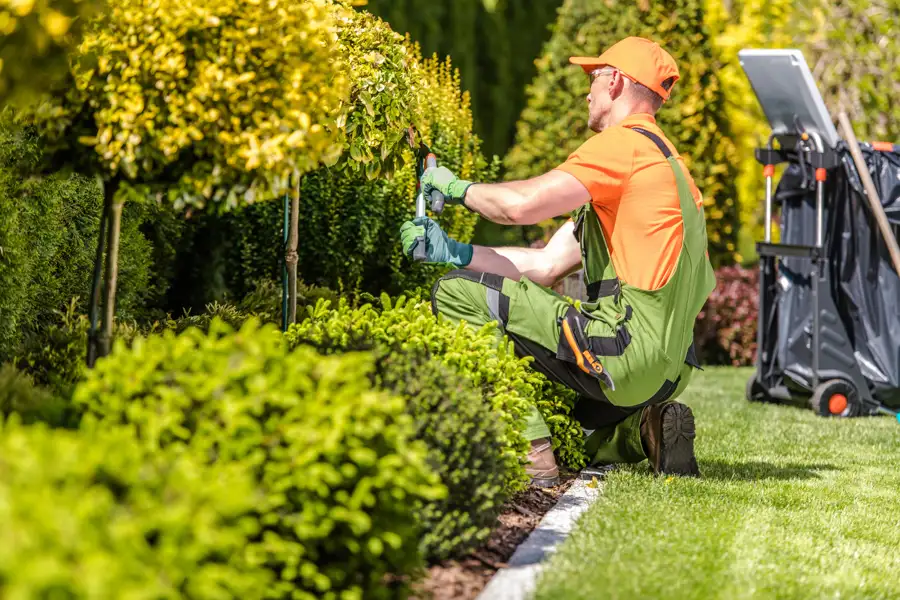 Professional Landscaper Professional Landscaper