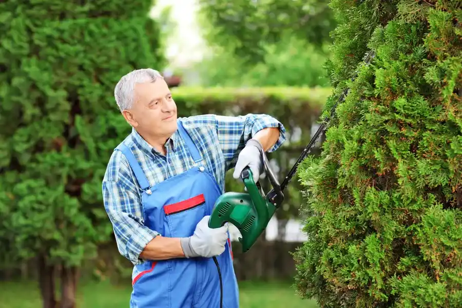Professional Bush Trimming East Granby, CT