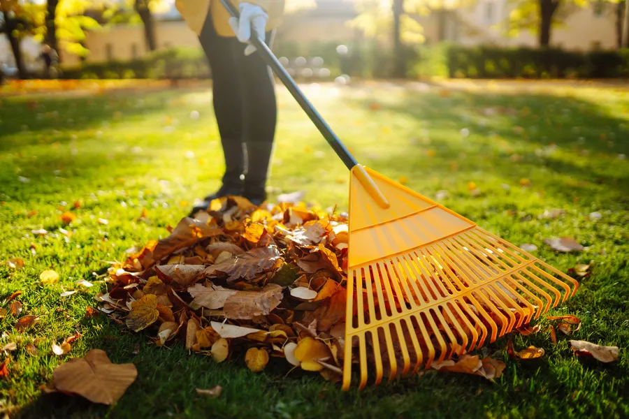 Quality Yard Maintenance East Granby, CT