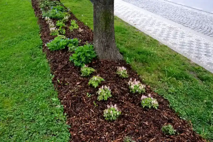 Reliable Mulch Installation East Granby, CT