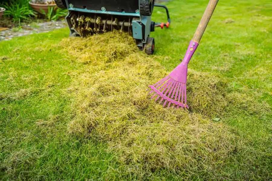 Reputable Yard Maintenance East Granby, CT