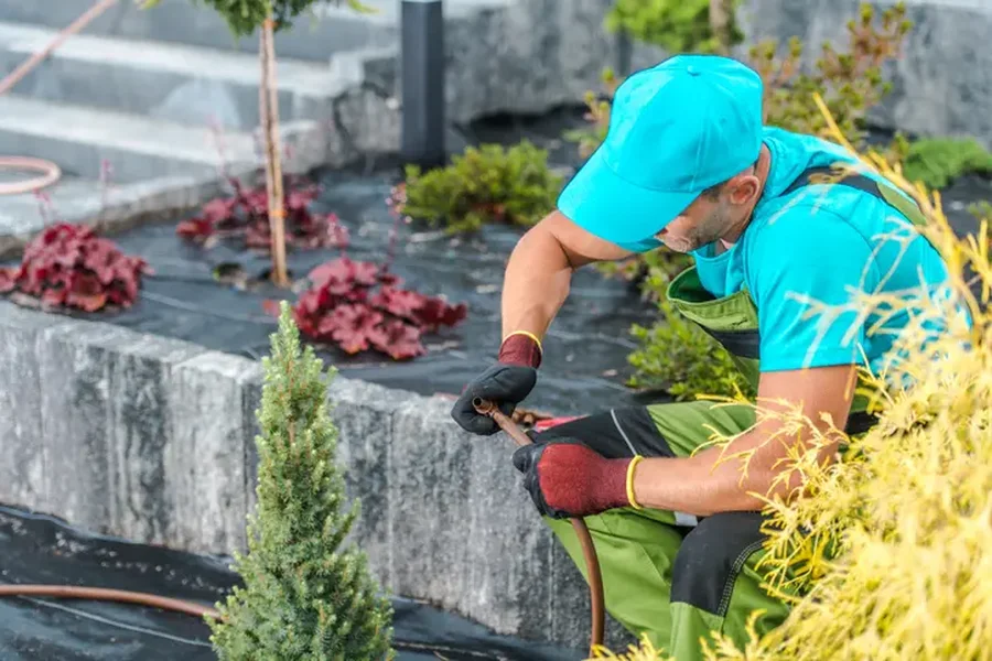 Top-rated Landscape Installation East Granby, CT